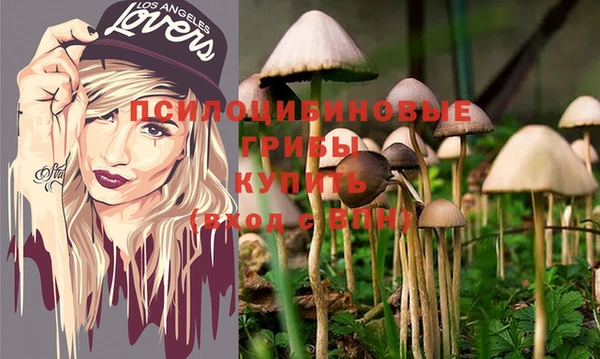 тгк Баксан