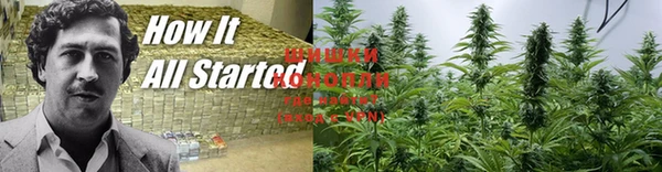 каннабис Балабаново